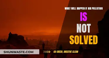 The World Chokes: Air Pollution's Deadly Future