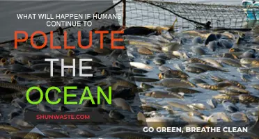 Ocean Pollution: The Future We Must Avoid
