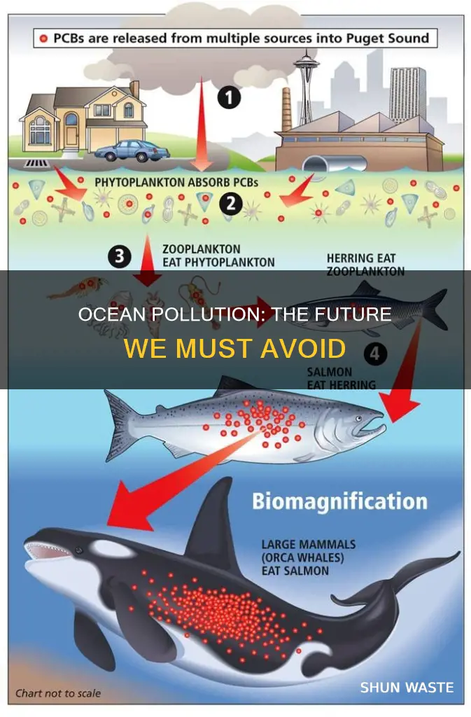 what will happen if humans continue to pollute the ocean