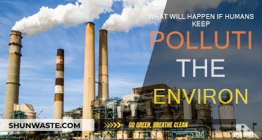 The Future of a Polluted Planet