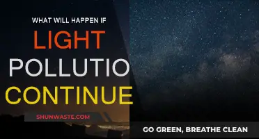 Light Pollution: The Dark Side of Our Future