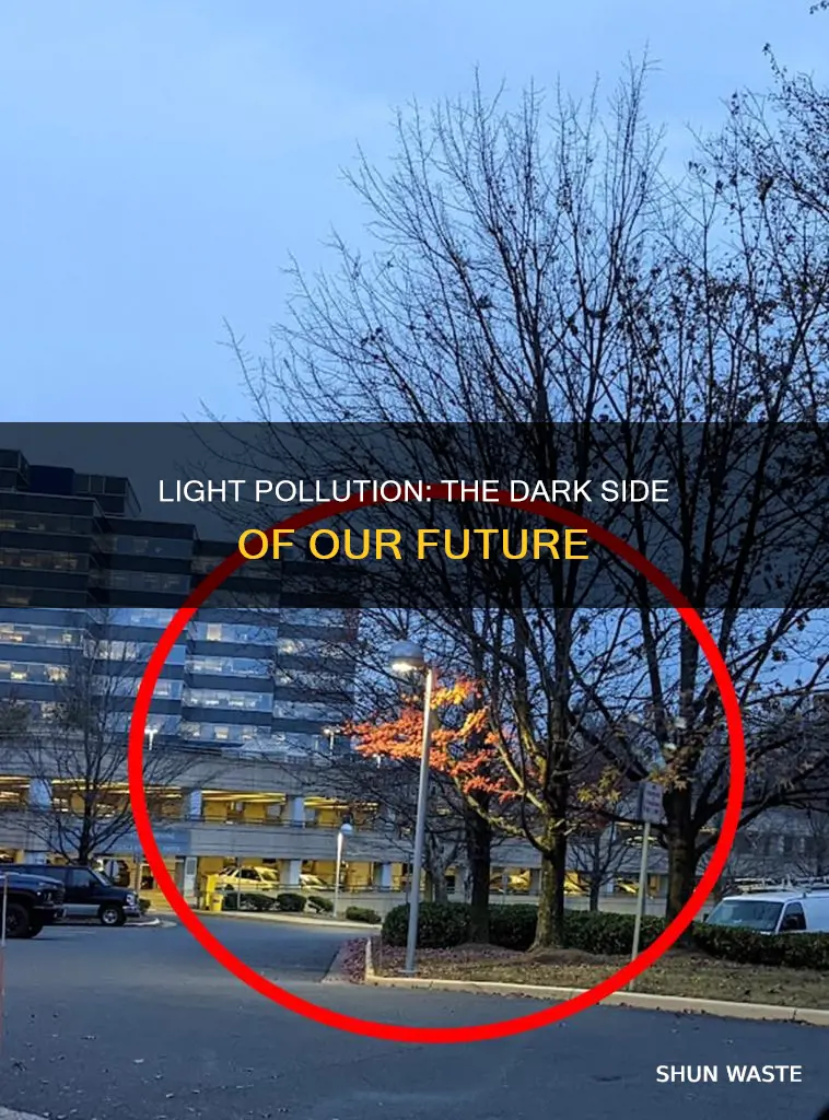 what will happen if light pollution continues
