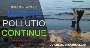 Marine Pollution: A Future of Devastation