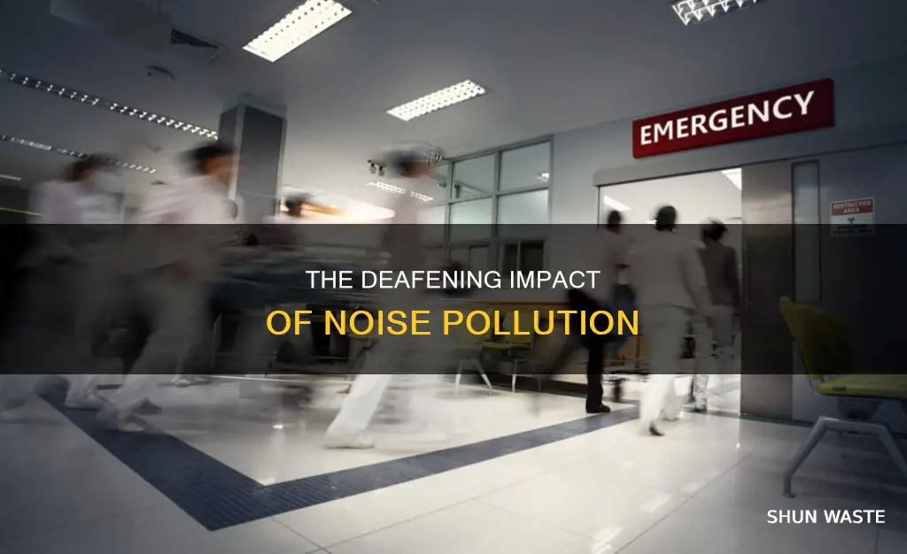 what will happen if noise pollution continues