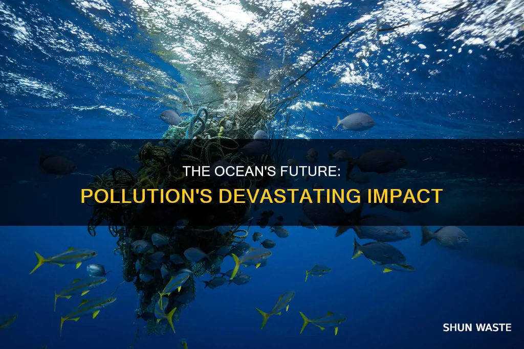 what will happen if ocean pollution doesn