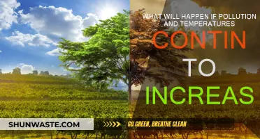 The Rising Threat: Pollution, Temperature, and Our Future