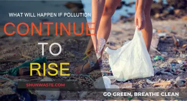 The Earth's Future: A World Choked by Pollution