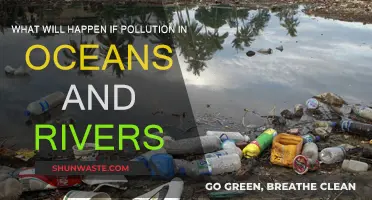 The Impact of Pollution on Our Waterways