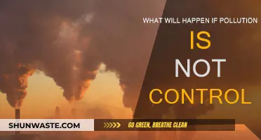 Unchecked Pollution: A Future in Peril