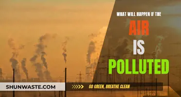 The Air We Breathe: Pollution's Impact