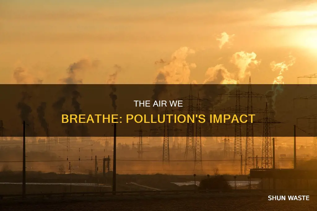 what will happen if the air is polluted