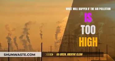 Air Pollution: A Deadly Future?