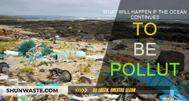Ocean Pollution: A Bleak Future for Marine Life