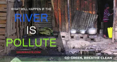 The River's Pollution: A Future Catastrophe