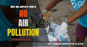 A World Without Air Pollution: Benefits and Opportunities