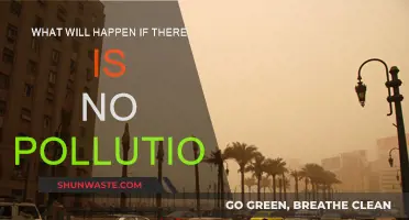 A World Without Pollution: Benefits and Future Possibilities