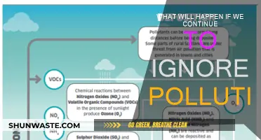 The True Cost of Ignoring Pollution