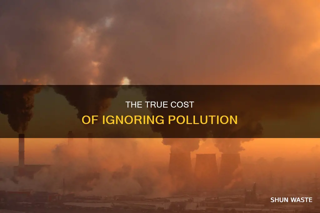 what will happen if we continue to ignore pollution