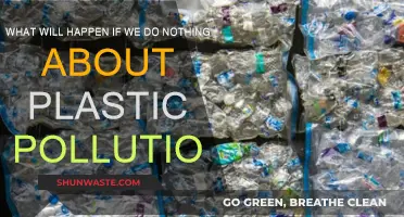 The Plastic Apocalypse: Our Future if We Do Nothing