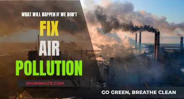 Air Pollution: Our Future at Stake