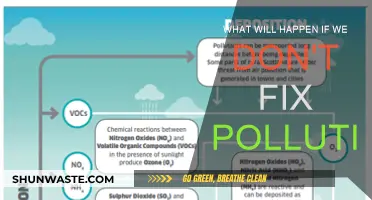 The Earth's Future: Pollution's Deadly Impact