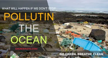 Ocean Pollution: Our Future in Peril