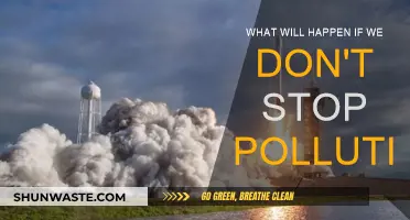 The Earth's Future: Pollution's Devastating Impact