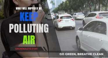 Air Pollution's Future: A Grim Outlook