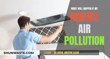 Breathing Easy: Reducing Air Pollution for Healthier Communities