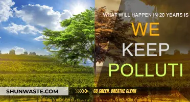 The World in 20 Years: Pollution's Devastating Impact