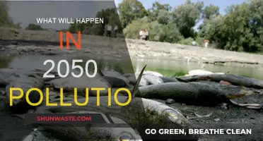 The Future of Pollution: 2050 Predictions