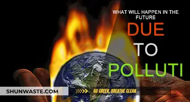 The Earth's Future: Pollution's Impact