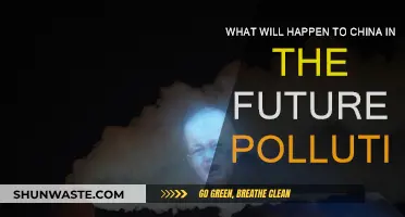 China's Pollution Crisis: Future Predictions and Solutions