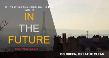 Pollution's Future: Earth's Dark Fate