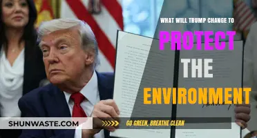 Trump's Environmental Policies: Potential Shifts for a Greener Future