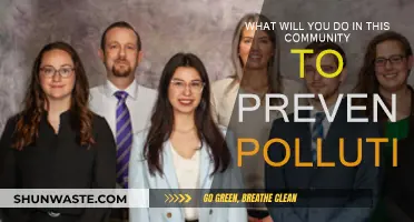 Community Action: Preventing Pollution Together