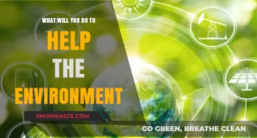 Sustainable Steps: Your Actions to Protect and Preserve Our Planet