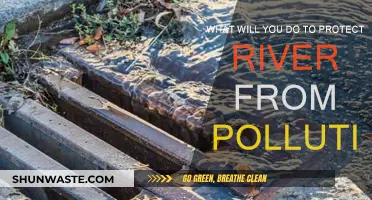 Protecting Rivers: Strategies to Combat Pollution