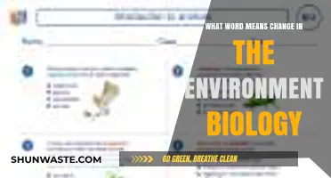 Understanding Ecological Succession: The Biological Term for Environmental Change
