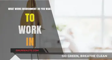 Crafting Your Ideal Work Environment: Culture, Flexibility, and Growth