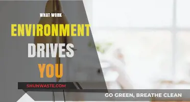 Discovering the Ideal Work Environment That Ignites Your Passion and Productivity