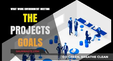 Crafting Ideal Work Environments to Achieve Project Goals Effectively