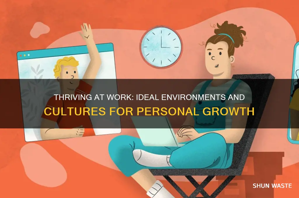 what work environments and corporate cultures do you enjoy