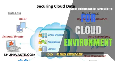 Effective Work Policies for Secure and Efficient Cloud Environments
