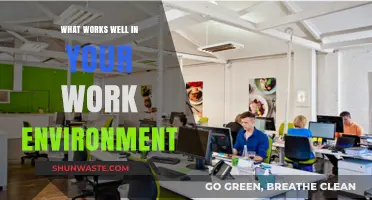 Fostering Productivity: Key Elements of a Thriving Work Environment