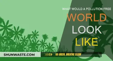 A World Without Pollution: Nature's Revival