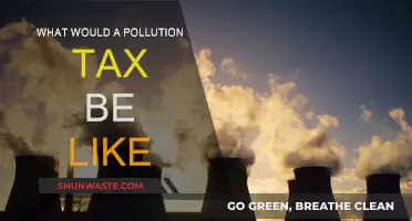 Pollution Tax: Pros, Cons, and Potential