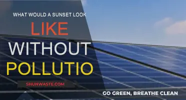 A Pristine Sunset: Unveiling Nature's True Colors