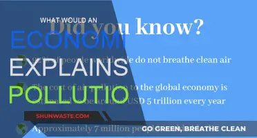 Economics of Pollution: Costly Externalities