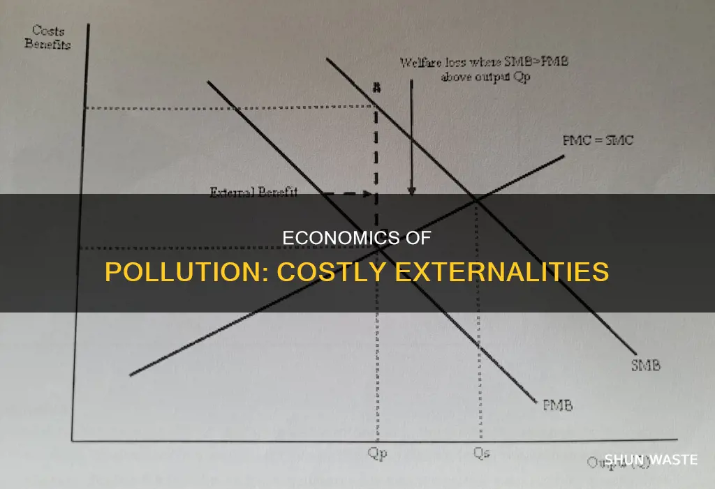 what would an economist explains pollution
